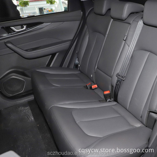 Chinese Wilmar brand EV new energy car luxury electric vehicles high speed big space WM motor W6 used cars EV